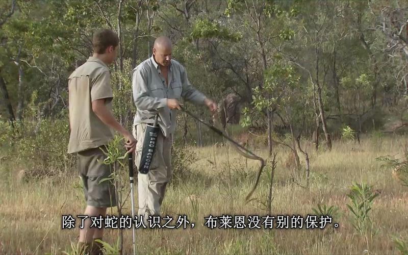 下载中心 第4页